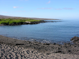 The Beach at Urbina Bay, Isabela Island, Galapagos