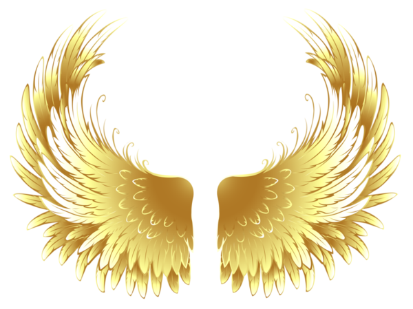ForgetMeNot: Angel - wings