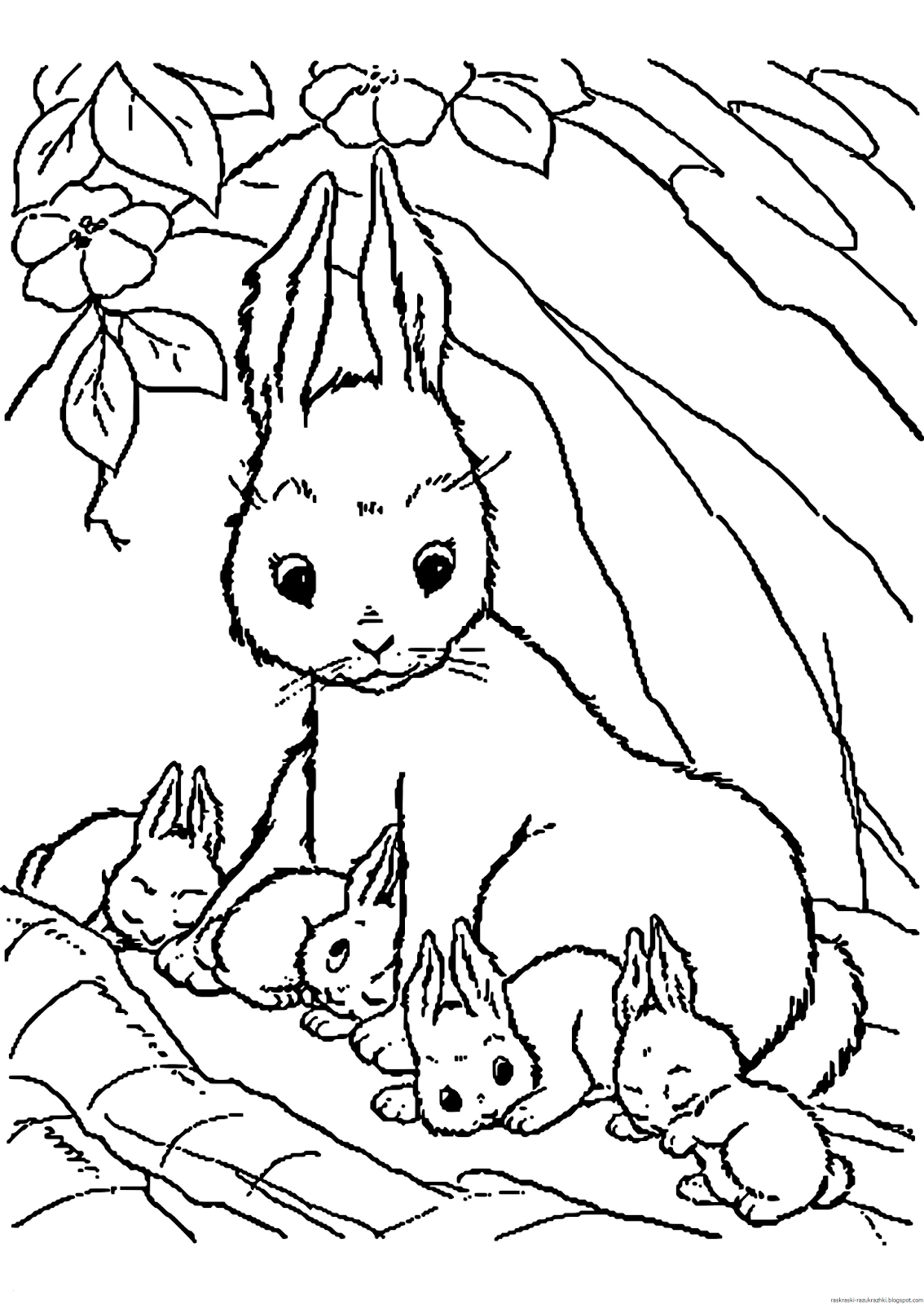 Животные Весной Раскраска Для Детей