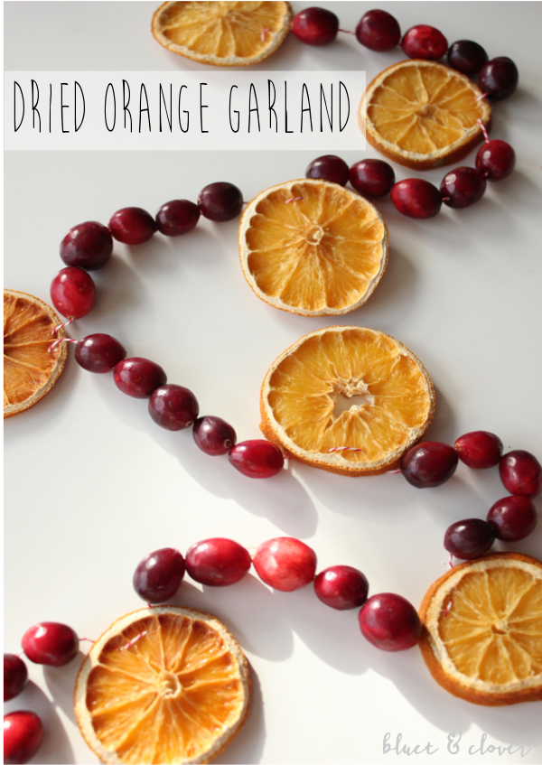 How to Make Dried Orange and Cranberry Garland {Tutorial}, Recipe