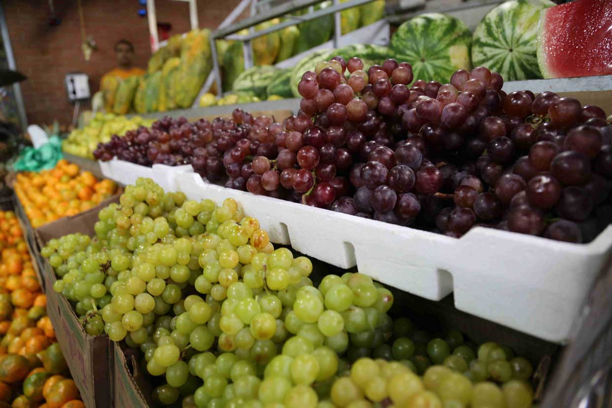 PUBLICACIONES FRANCISCO ALARCÓN: Precio de uvas aumentó en 244.344,4% en un año