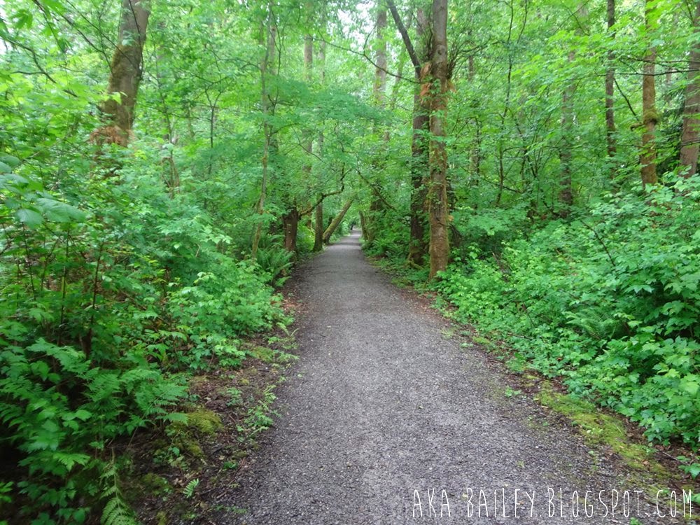 Wooded trail in Pacific Spirit Regional Park