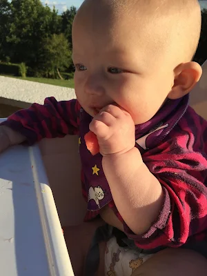 A baby sitting in a white high chair in the garden eating a piece of watermelon