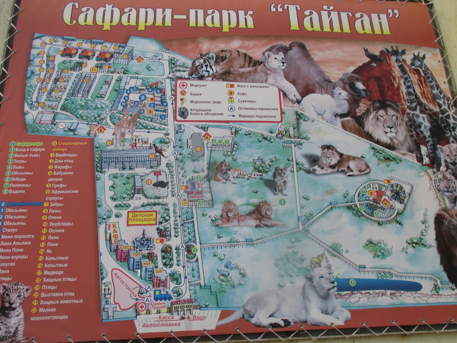 План парка тайган в крыму