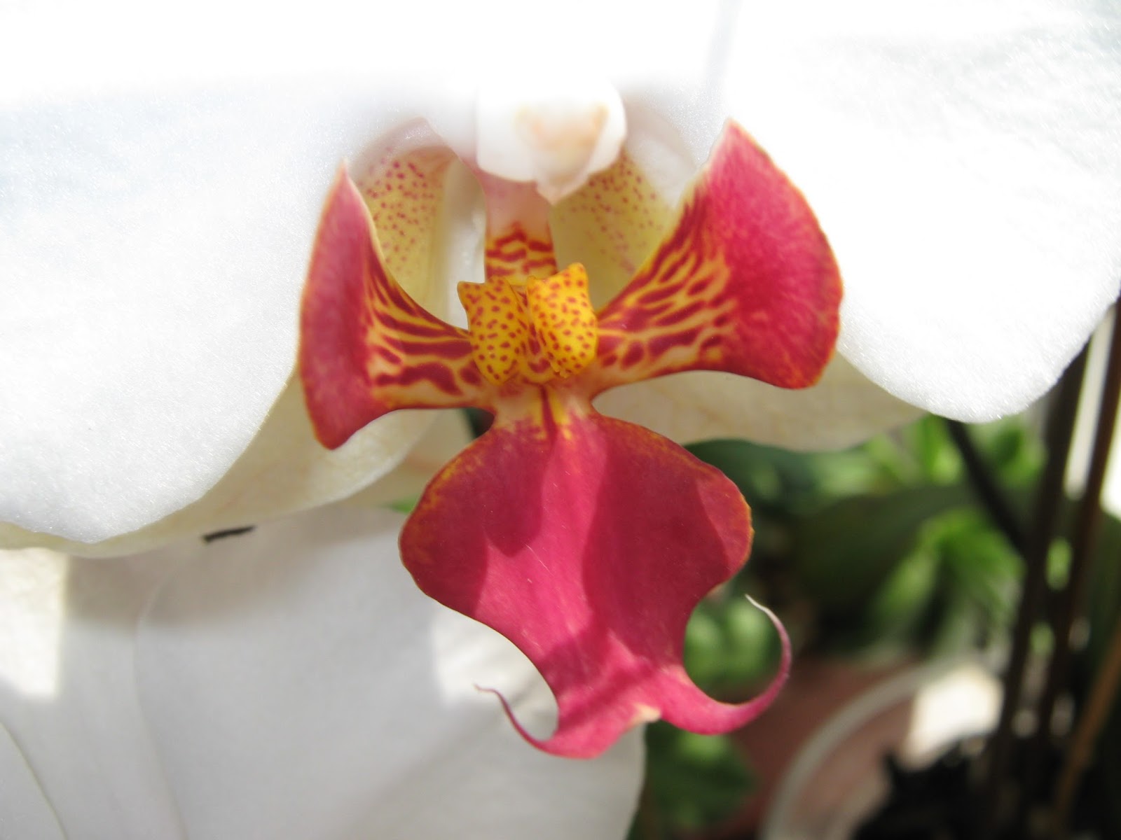 MATERIALES MARI LUZ: septiembre 2015