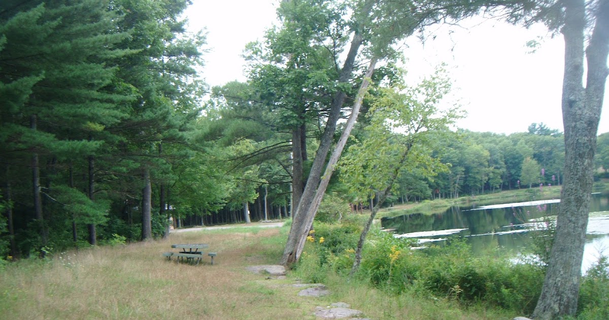 Parchment Paths Moon Lake Partially Abandoned County Park