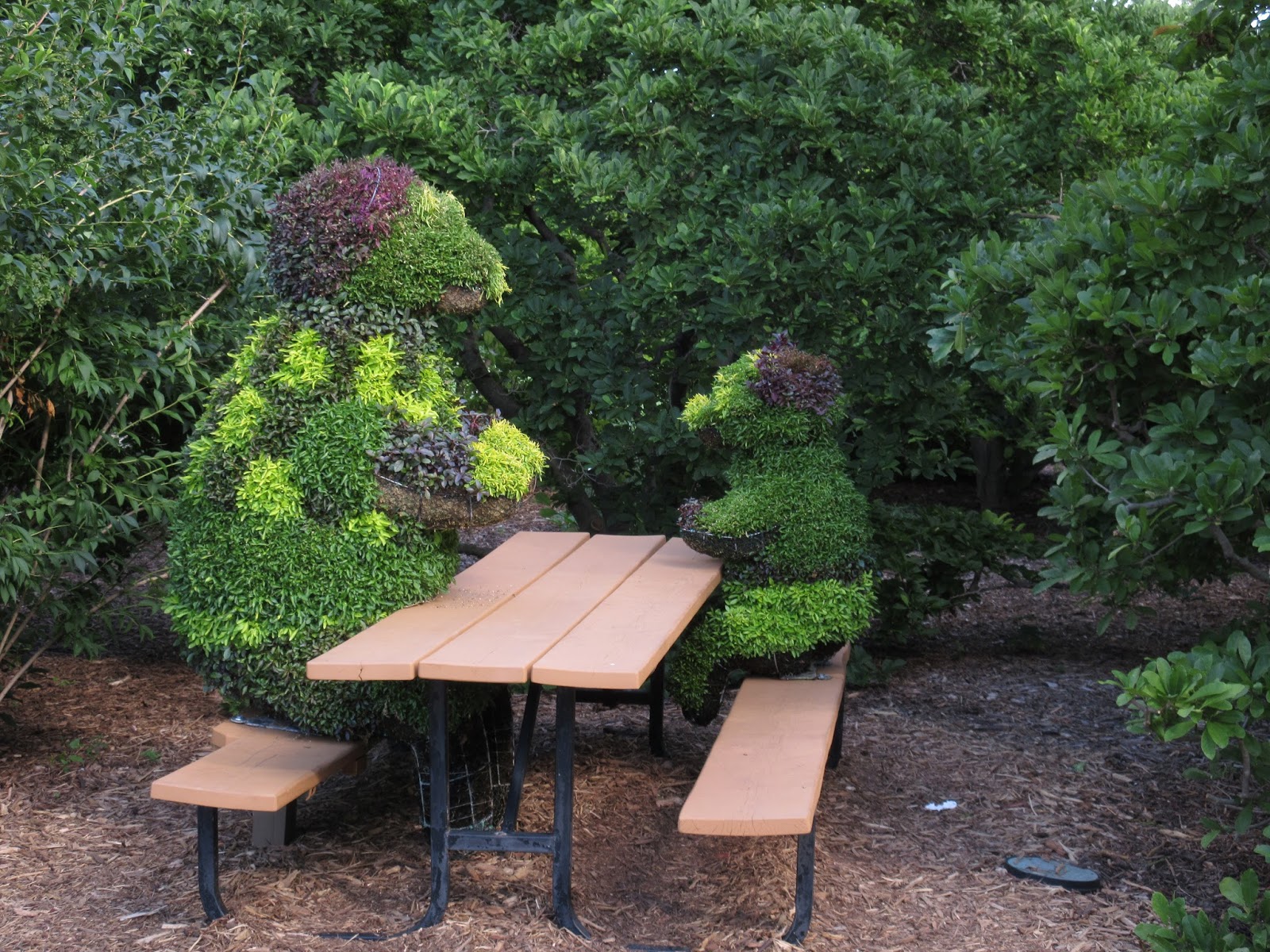 Images From My Peripatetic Life Turtle Picnic Olbrich Botanical