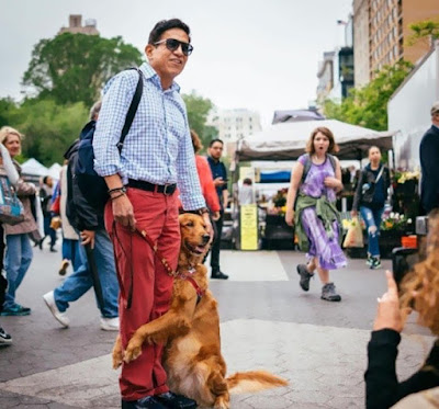 dog gives hugs louboutina retriever new york 3