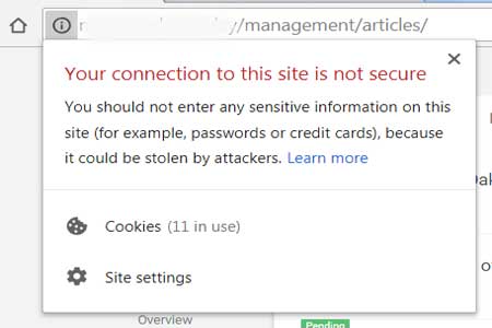 chrome site not secure snapshot