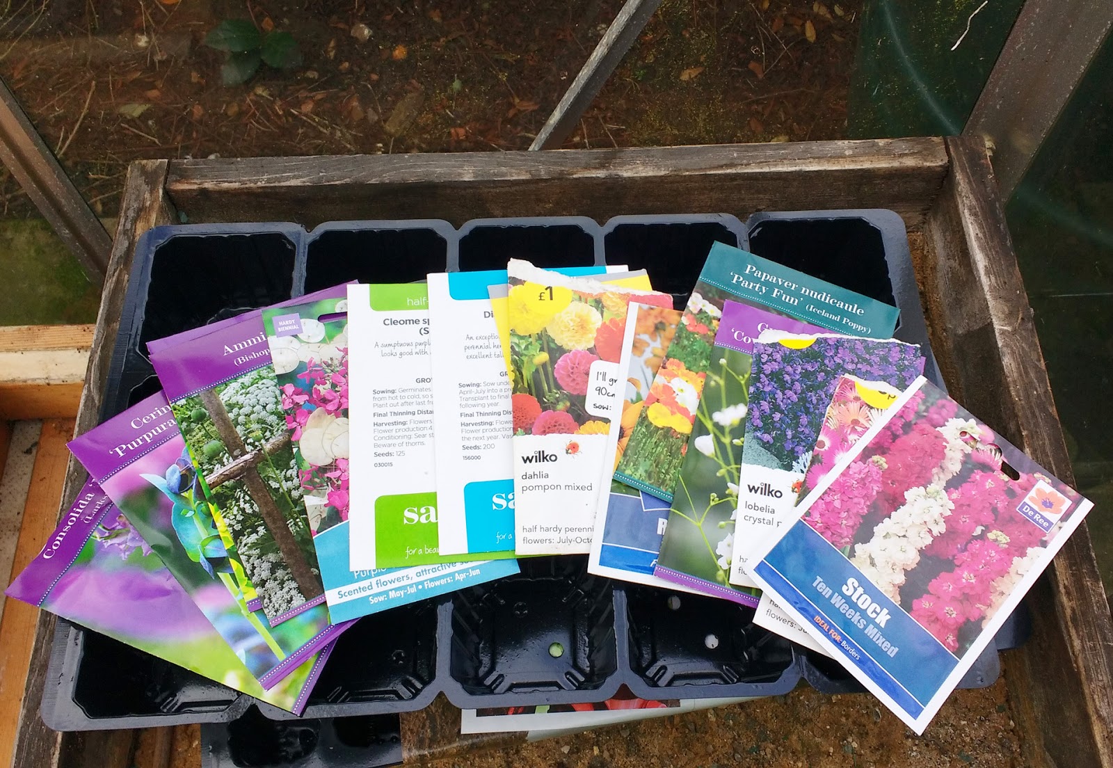 Sophie in the Sticks The cut flower patch 2017