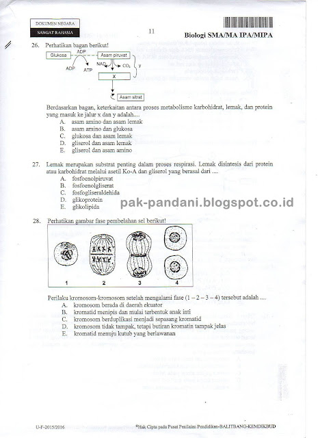 Free Download Soal Un Biologi Sma Blogspot Login