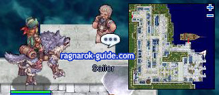 RAGNAROK GUIDE PHILLIPPINES: How to go to Turtle Island Quest