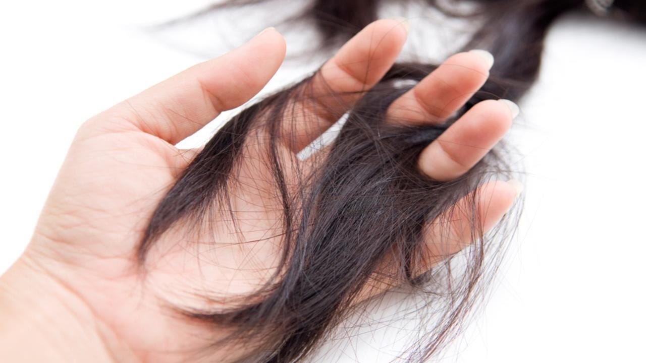 Reasons for Hair Weakness HEALTH INFORMATION