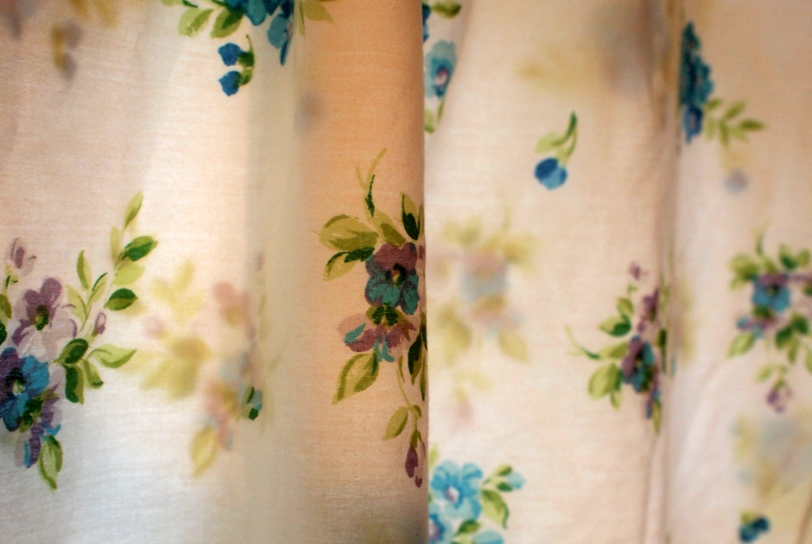 Renae's Adventures: May 2012