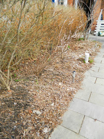 Paul Jung Gardening Services Roxborough West spring cleanup before