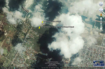 sekolah alam bandar bakau dumai hutan mangrove sungai dumai