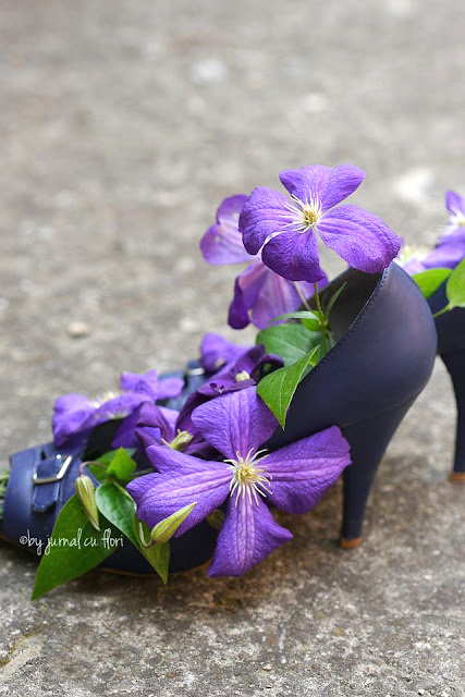 papuci si flori de clematis flower arrangements