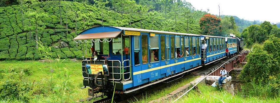 Nilgiri Mountain Railway trekking