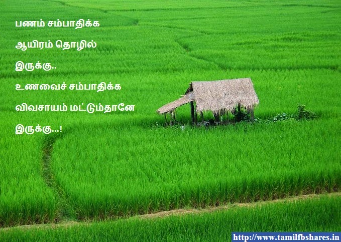 Vivasayam!!! ~ Tamilfbvideos