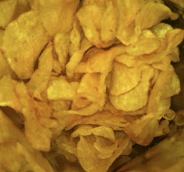 French Fry Diary French Fry Diary 424 Avocado Oil Potato Chips