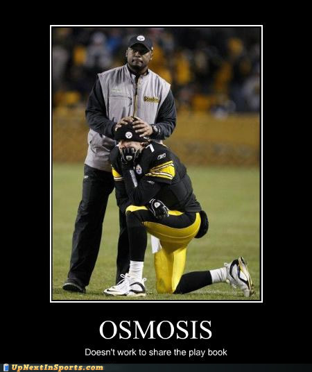 funny-sports-pictures-tomlin-roethlisberger-osmosis-work.jpg
