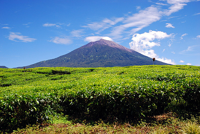 16 Pemandangan Gunung Kerinci Jambi Pemandangan Top Banget