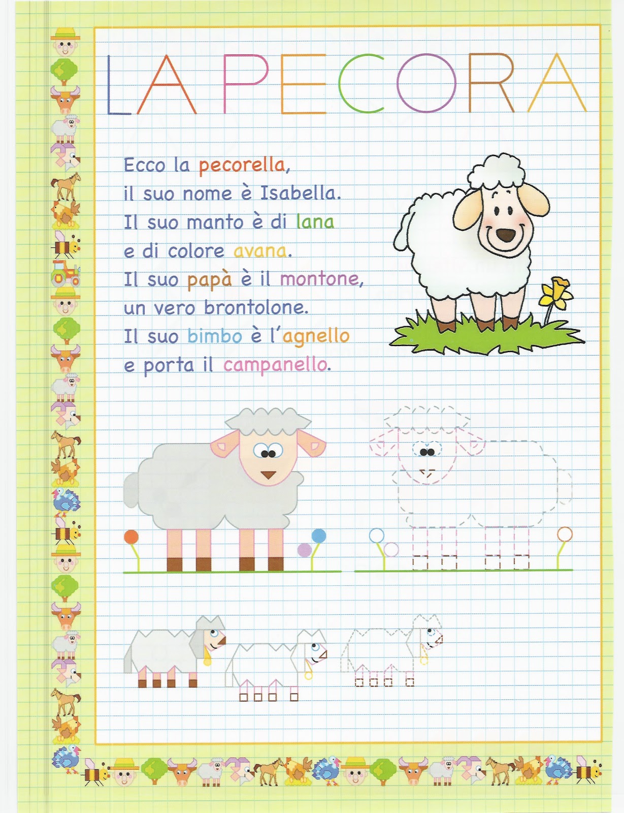 Schede Didattiche Dalla Pecora Alla Lana