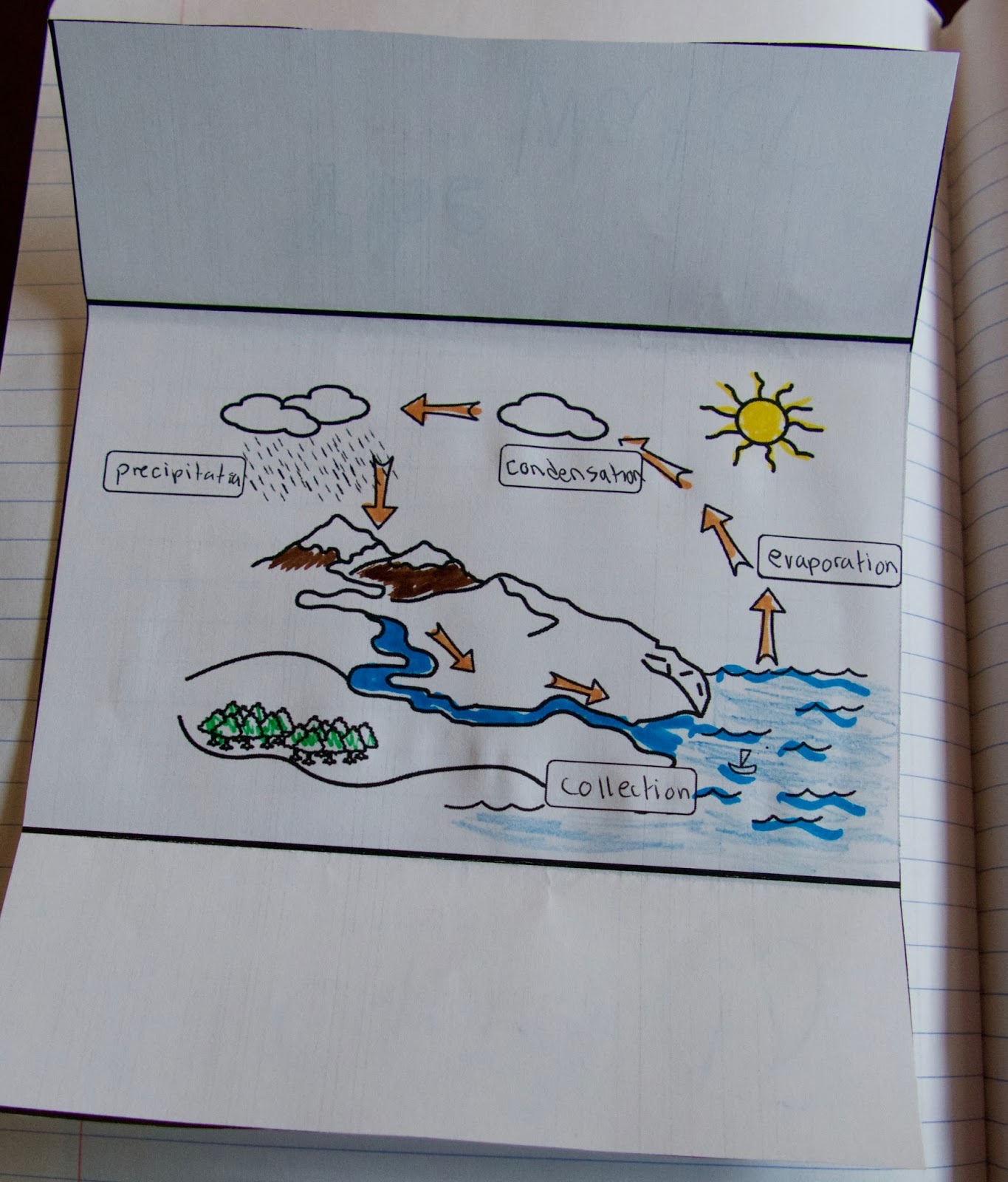 Teaching Science With Lynda: The Water Cycle in a Baggie with