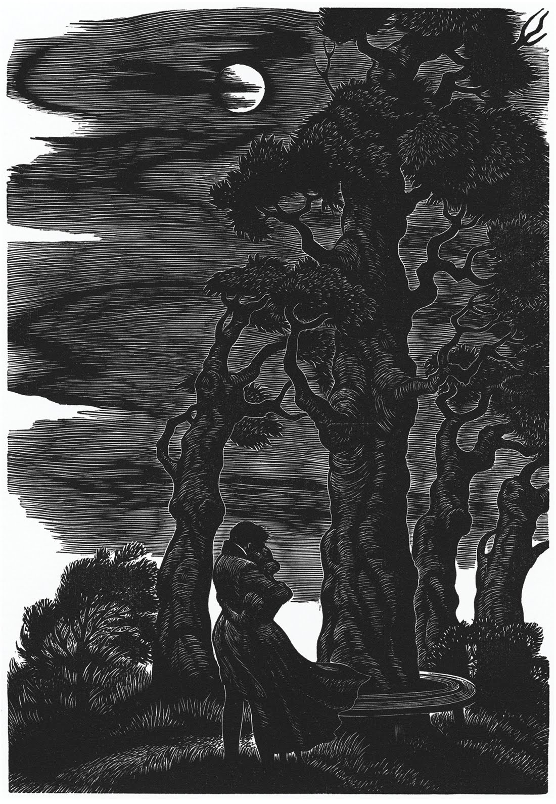 El borde de la realidad Emily, la de Luna Nueva