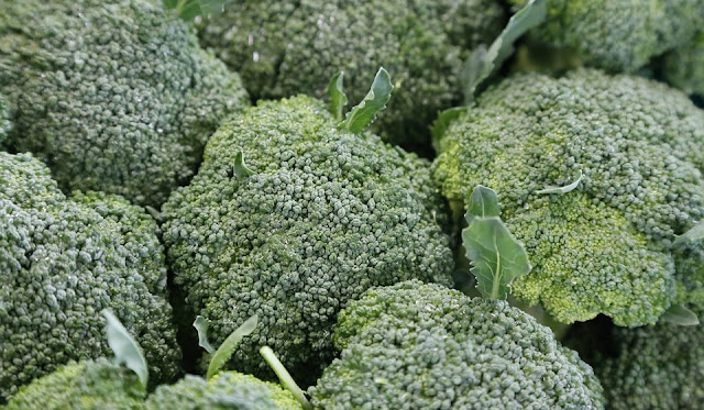 Benefits of Broccoli for Skin