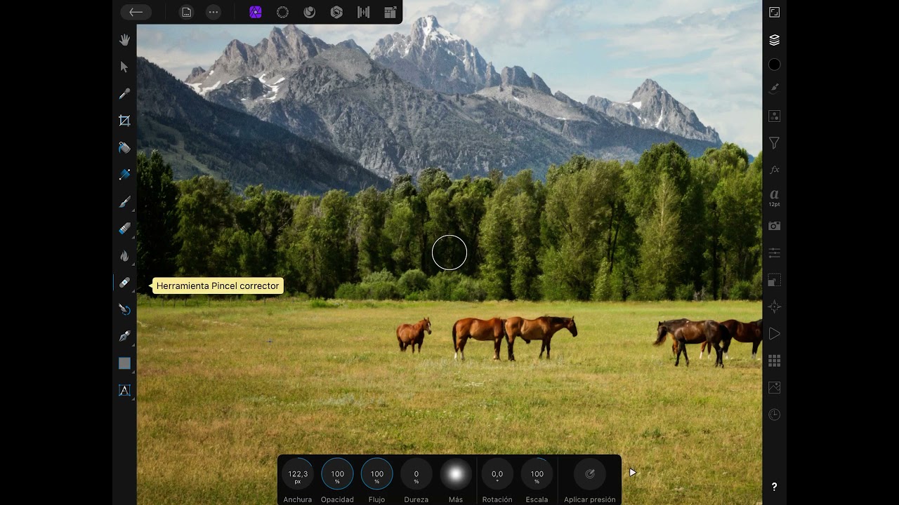 Herramienta corregir affinity photo ipad Herramienta corregir affinity photo ipad