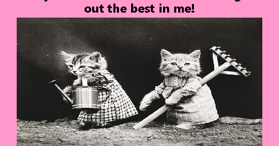 Poems & Quotes Finder