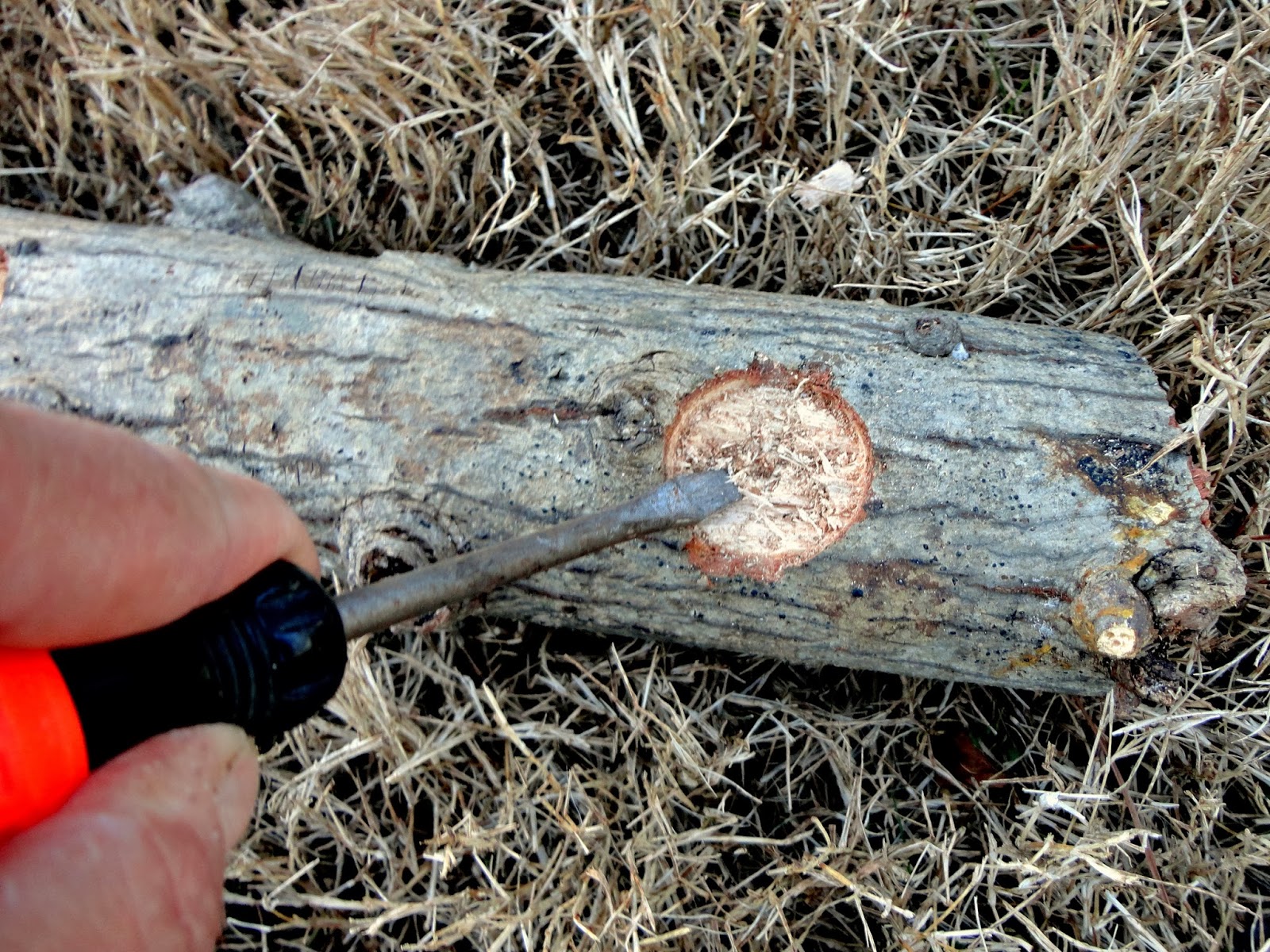 DIY Yule Log Candle Holder Fresh Eggs Daily® with Lisa Steele