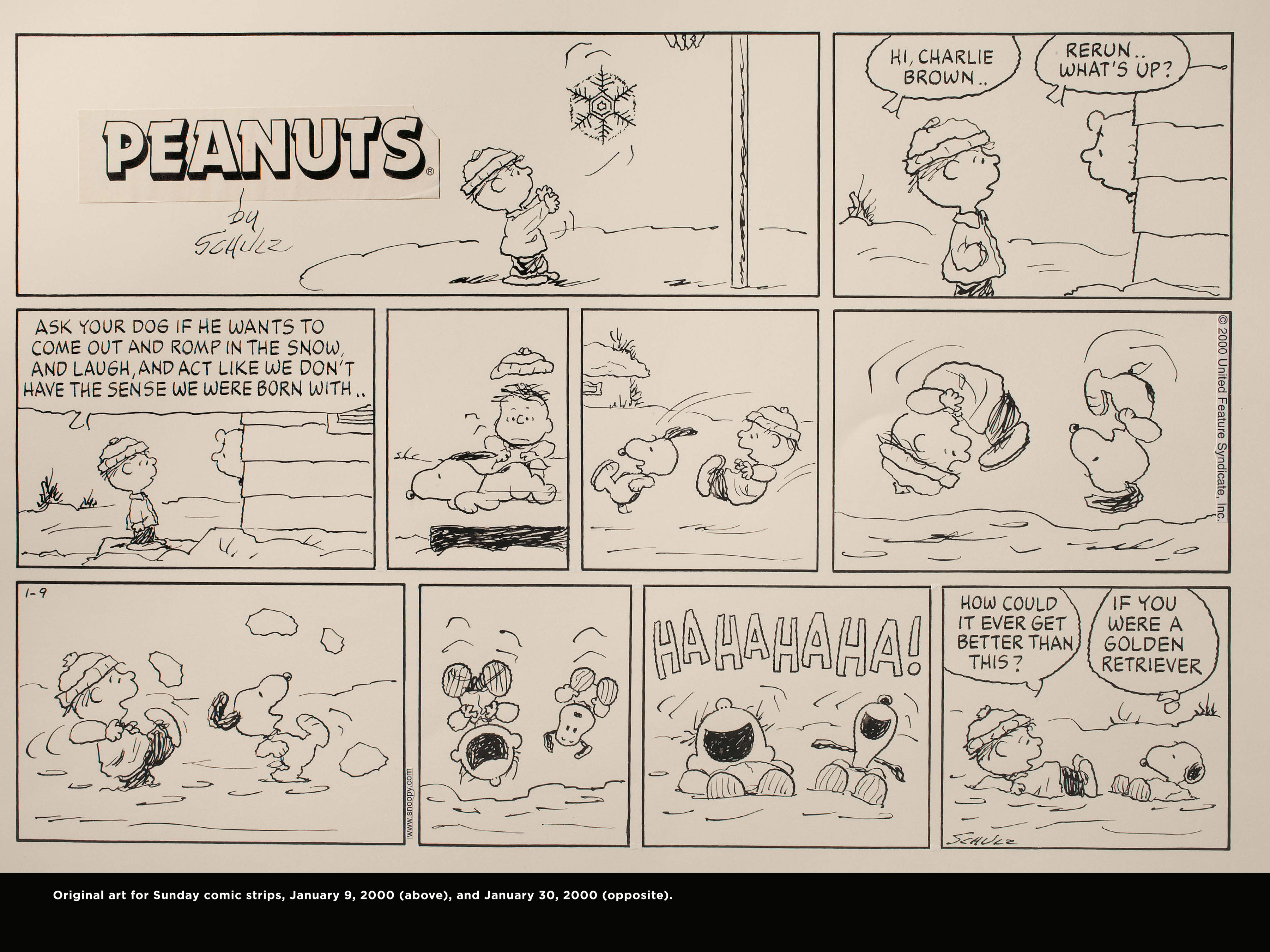 Read online Only What's Necessary: Charles M. Schulz and the Art of Peanuts comic -  Issue # TPB (Part 3) - 84