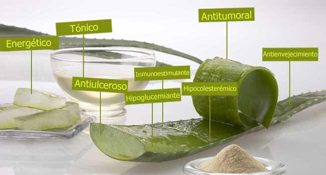 propiedades del aloe vera