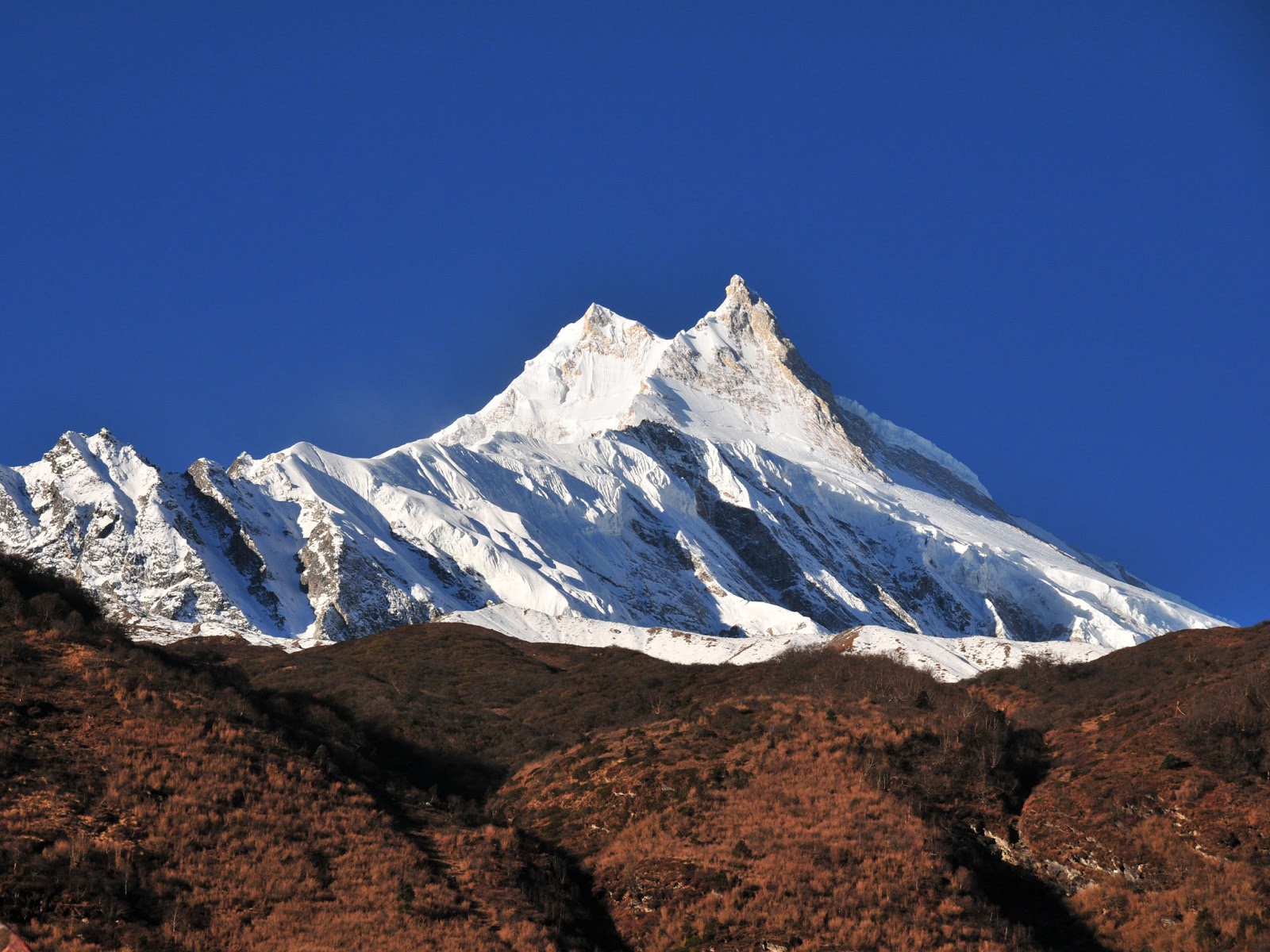 Эверест высота. Манаслу вершина. Гора Манаслу Гималаи. Гималаи самая высокая вершина. Денали Белуха Чогори Эверест Канченджанга.