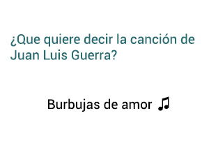 Significado de la canción Burbujas De Amor Juan Luis Guerra