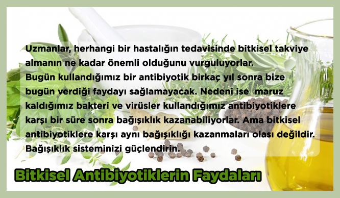 Top 7 adet düzenleyici bitkisel ilaçlar nedir en iyi 2022