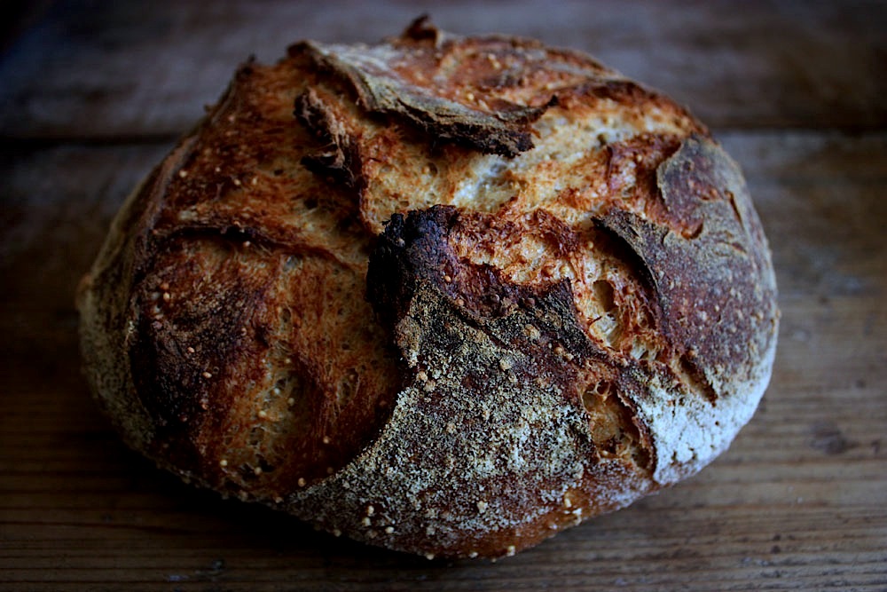 Tartine Bread Experiment New Post on Girl Meets Rye Bird Seed Bread