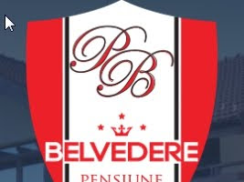 Pensiunea Belvedere - Cincis