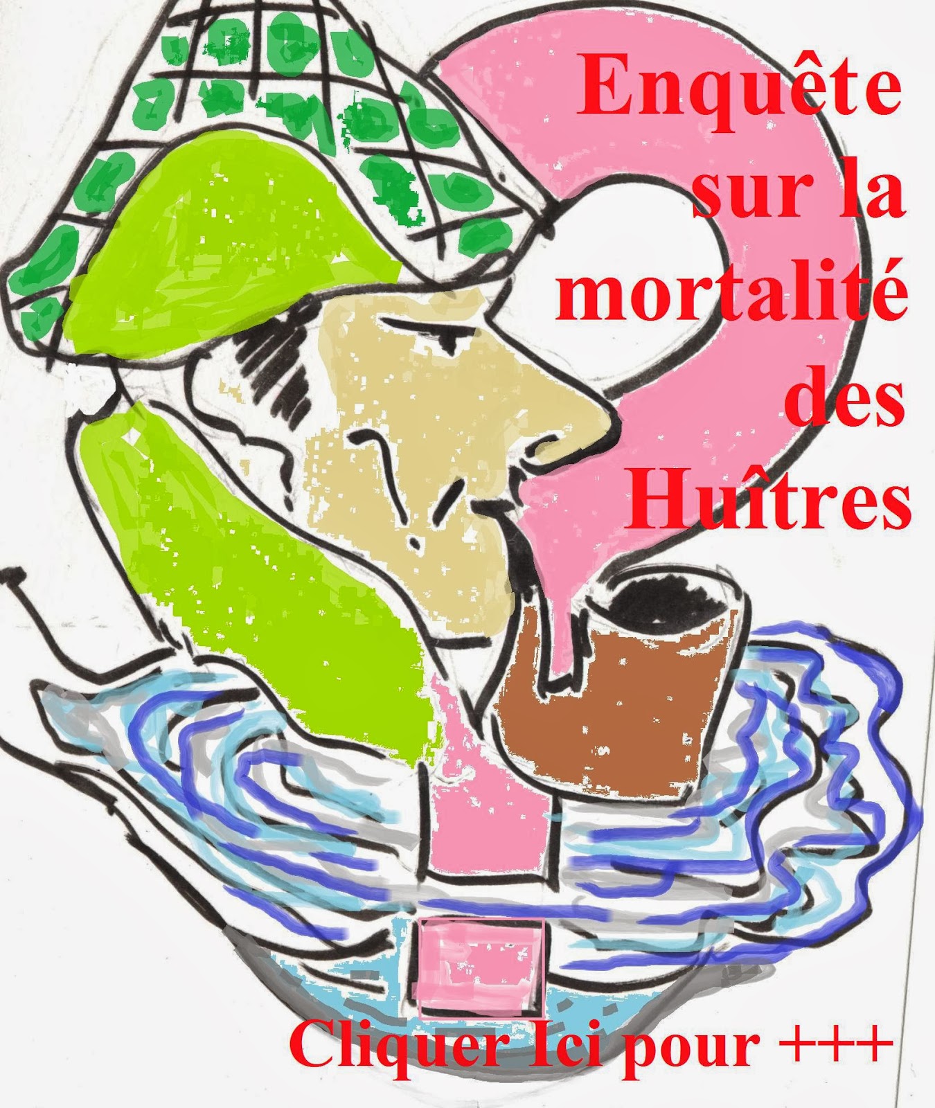 http://aquaculture-aquablog.blogspot.fr/2014/01/mortalite-huitre-enquete-le-bitoux.html#but1