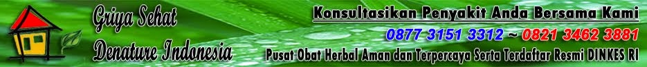 Pengobatan Herbal Denature Indonesia Sipilis Raja Singa Kencing Nanah