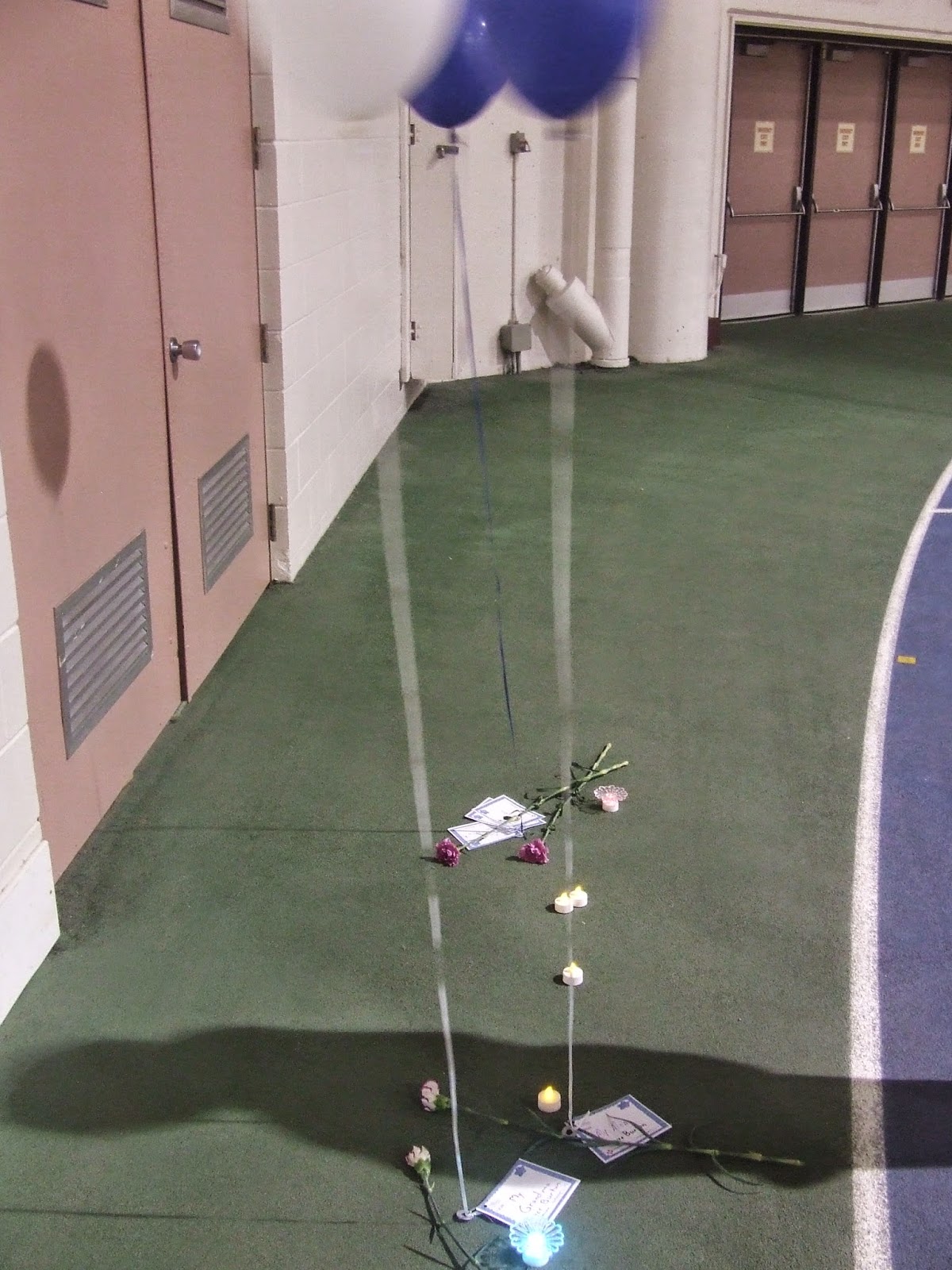 Erin's Writing Life My Walk for Memories