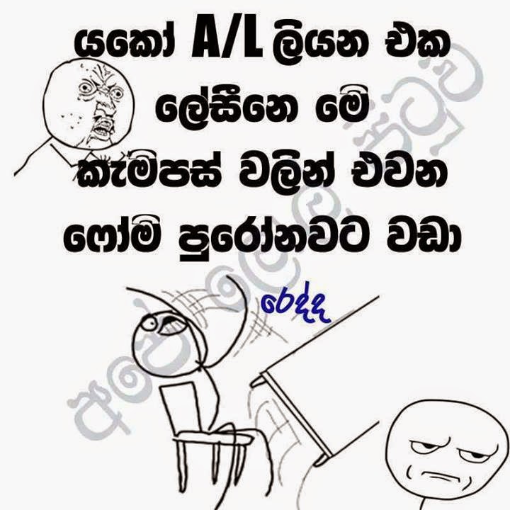 Sri Lanka University News Education Campus School ශ ර