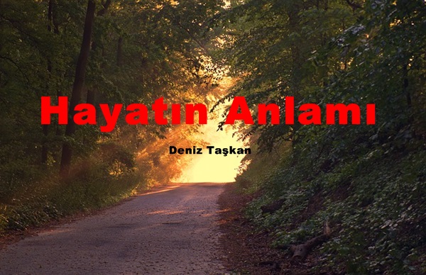 Hayatın Anlamı (Deniz Taşkan)