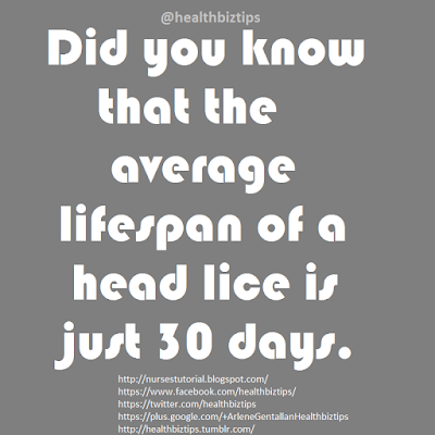 Did you know that the average lifespan of a head lice is just 30 days.