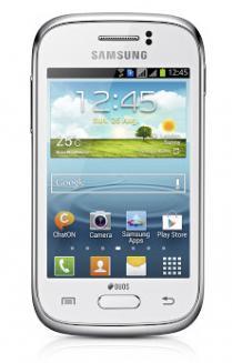 Samsung Galaxy Young S6310 (1)
