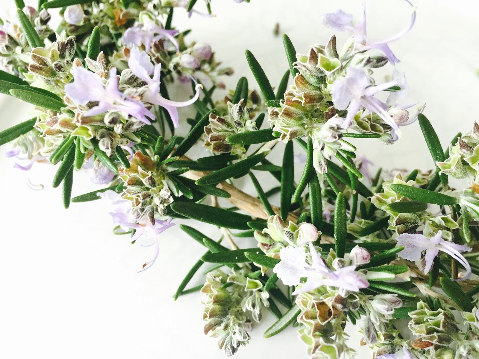 Angel's Recettes La Focaccia au Romarin frais, Huile d'olive & Fleur