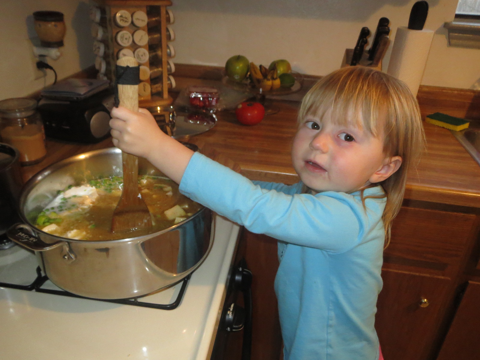 Busy Veggie Mama More Vegan Fusion Testers