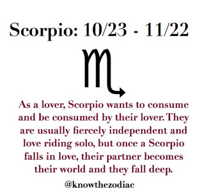 scorpio lover quotes zodiac sign star woman fall quote riding solo when visit falls aquarius sagittarius cusp